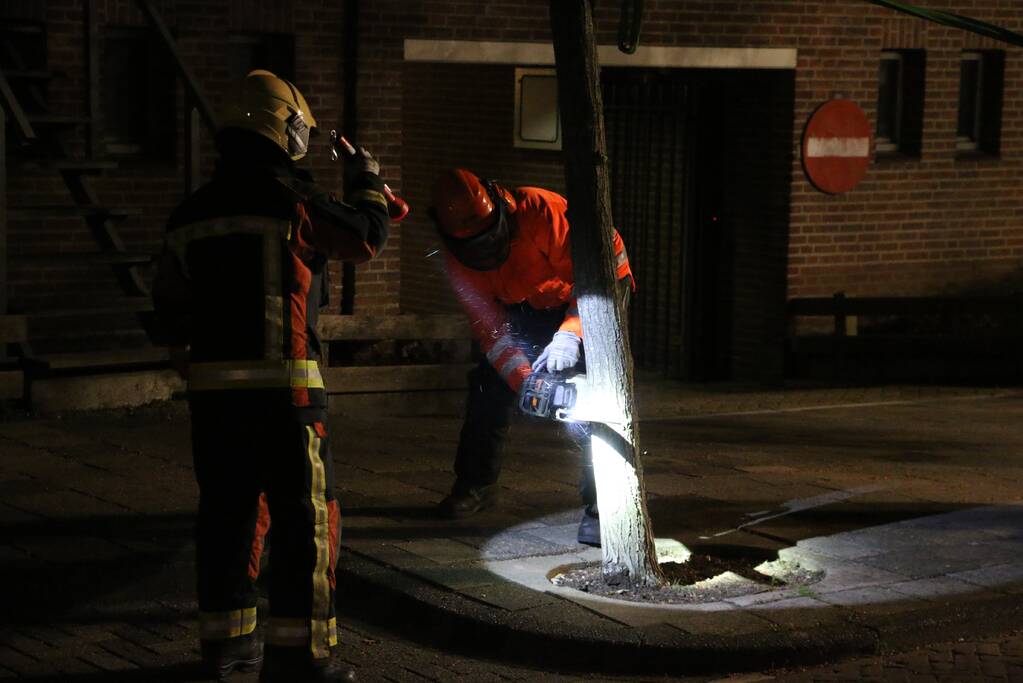 Boom dreigt op woningen te vallen