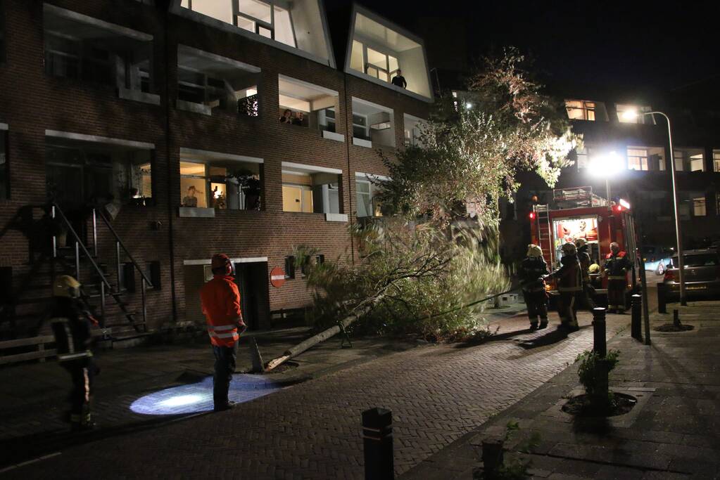 Boom dreigt op woningen te vallen