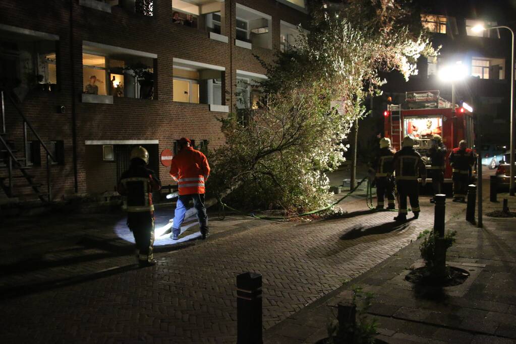 Boom dreigt op woningen te vallen