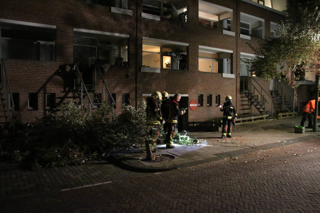 Boom dreigt op woningen te vallen