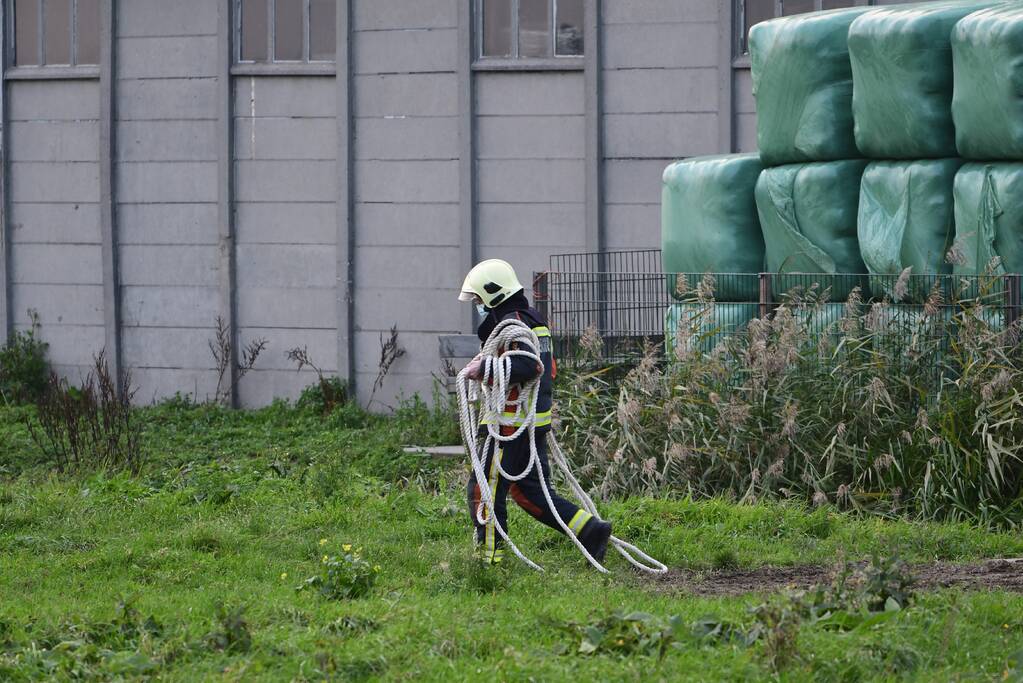 Brandweer haalt paard uit sloot
