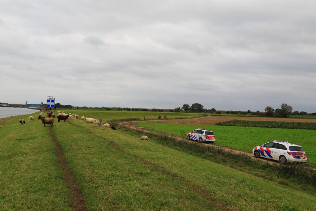 Stoffelijk overschot gevonden in Lek