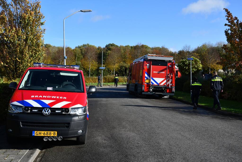 Brand in pand Pearl Paint Holland