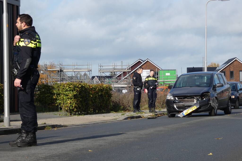 Hond aangereden door auto