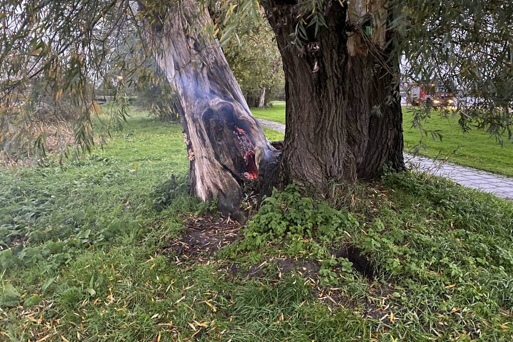 Brandweer blust brand in boom met emmer