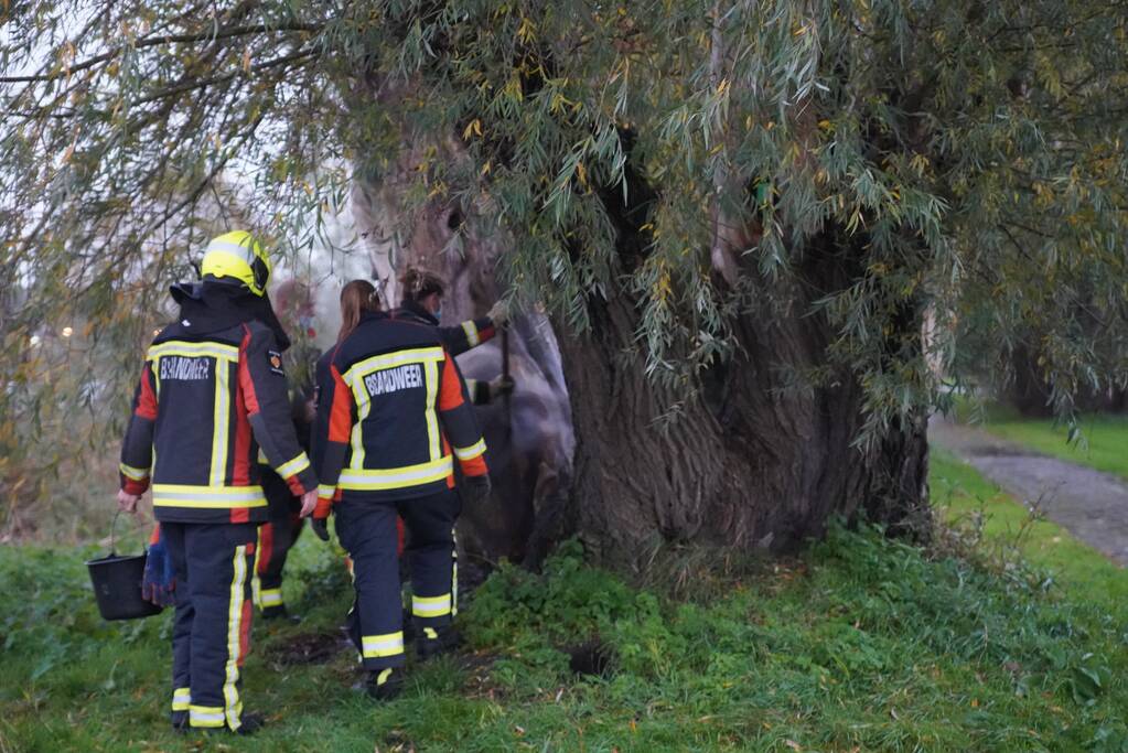 Brandweer blust brand in boom met emmer