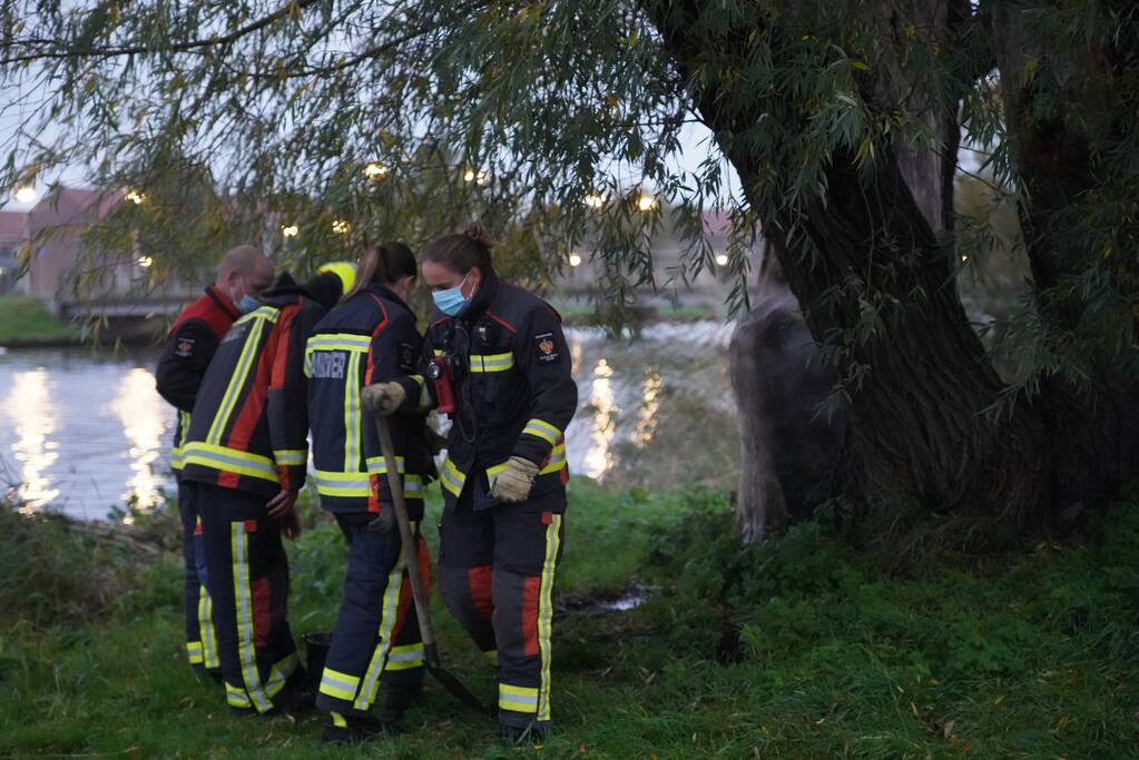 Brandweer blust brand in boom met emmer