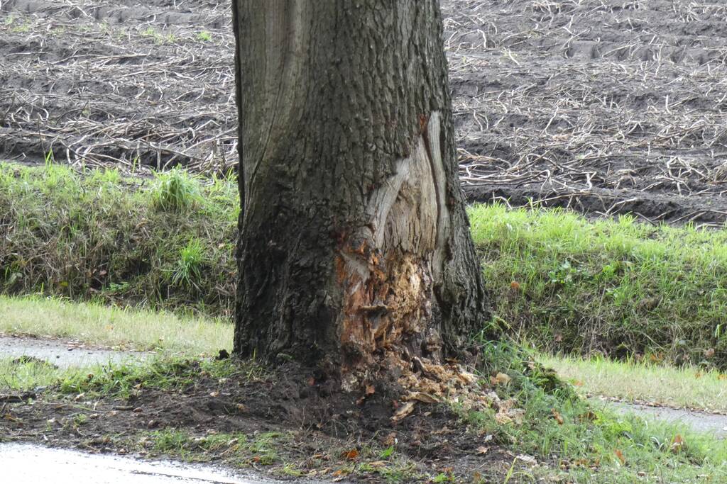 Personenauto lekt vloeistof na botsing tegen boom