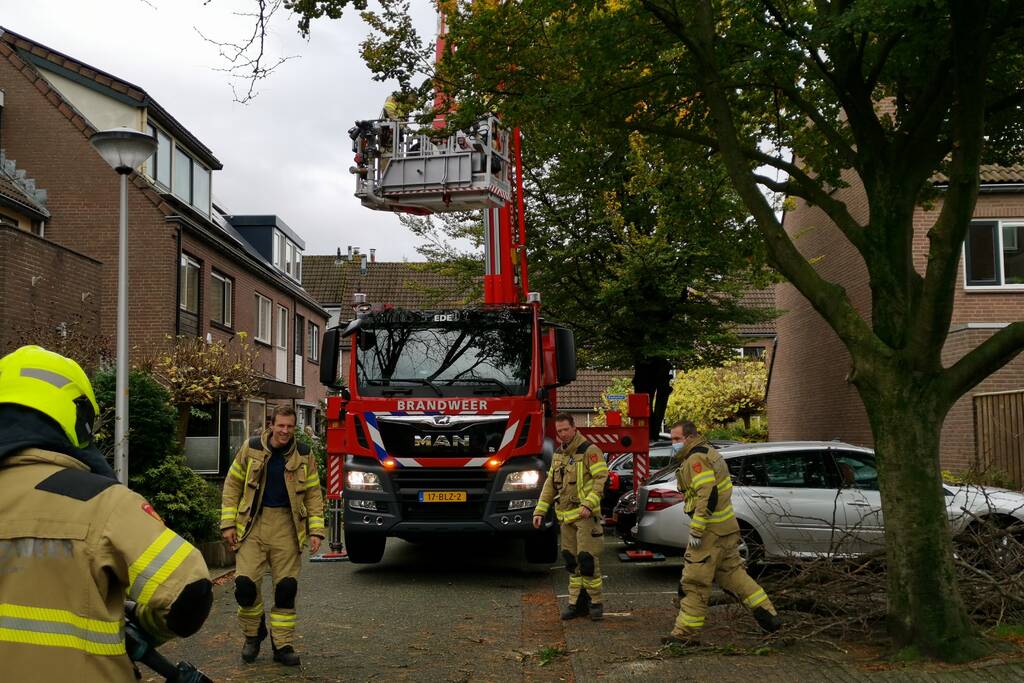 Brandweer verwijdert loshangende takken