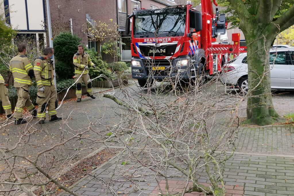 Brandweer verwijdert loshangende takken