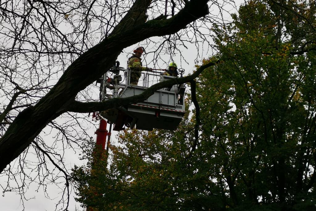 Brandweer verwijdert loshangende takken