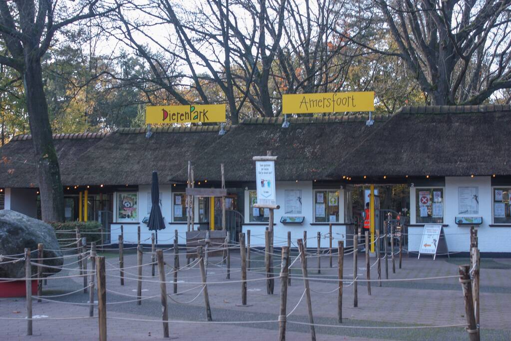 DierenPark Amersfoort ontruimd na gevaarlijke ontsnapping
