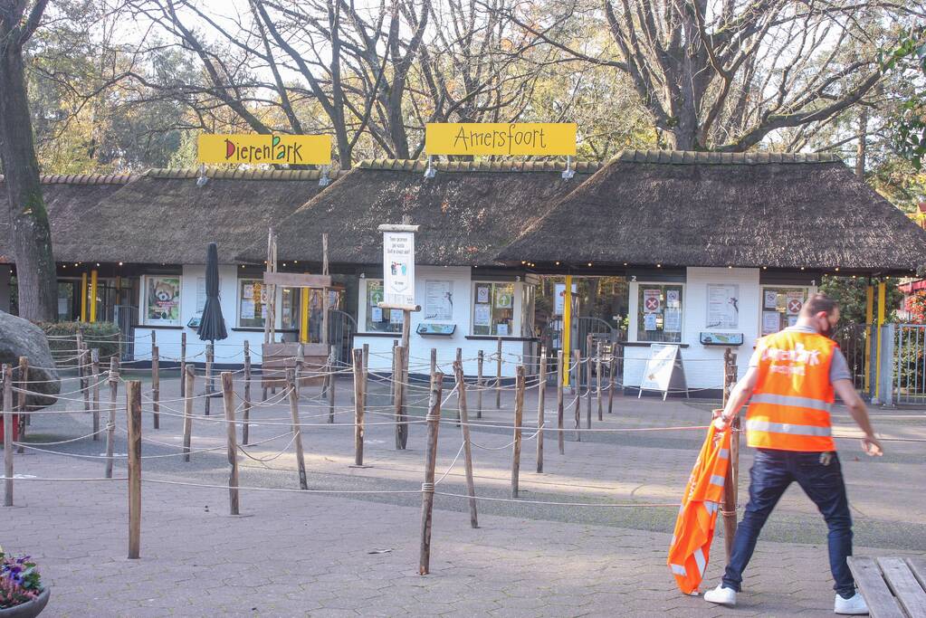 DierenPark Amersfoort ontruimd na gevaarlijke ontsnapping