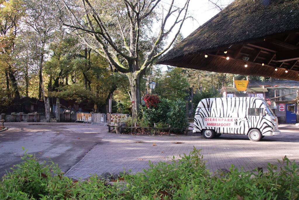 DierenPark Amersfoort ontruimd na gevaarlijke ontsnapping