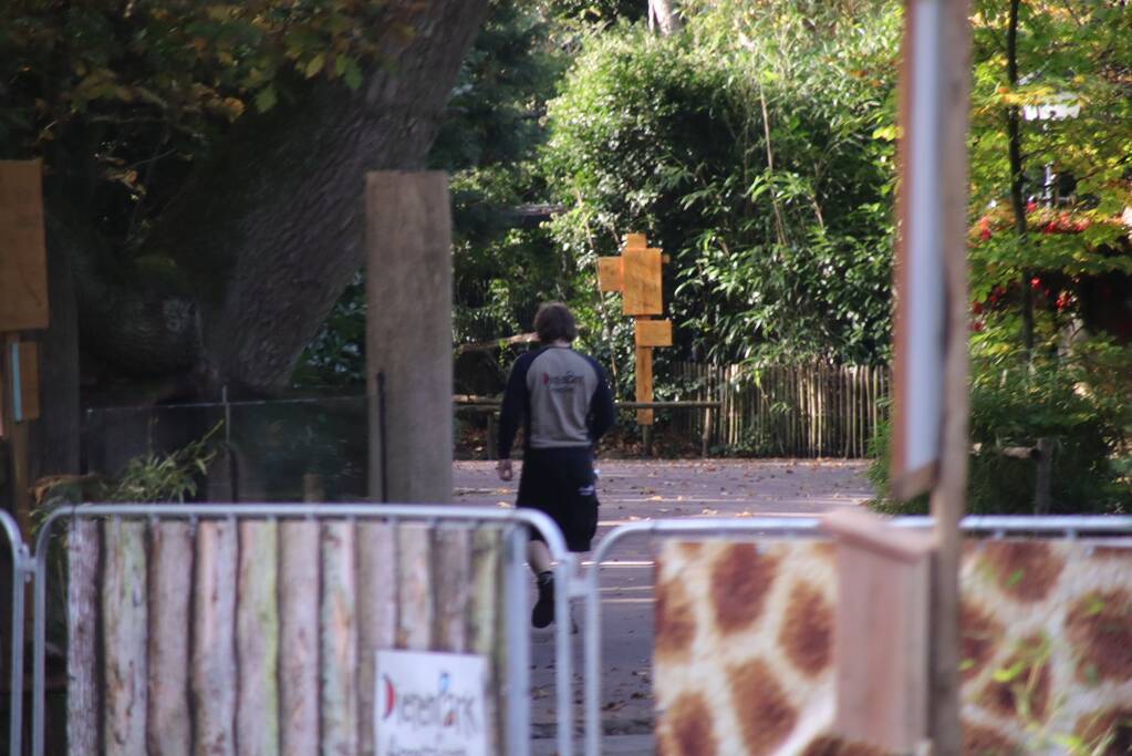 DierenPark Amersfoort ontruimd na gevaarlijke ontsnapping