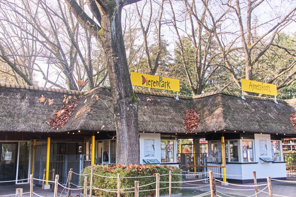 DierenPark Amersfoort ontruimd na gevaarlijke ontsnapping