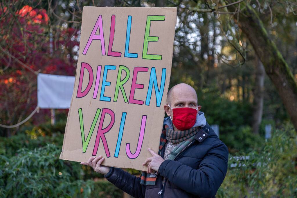 Protestactie tegen doodgeschoten chimpansees DierenPark Amersfoort