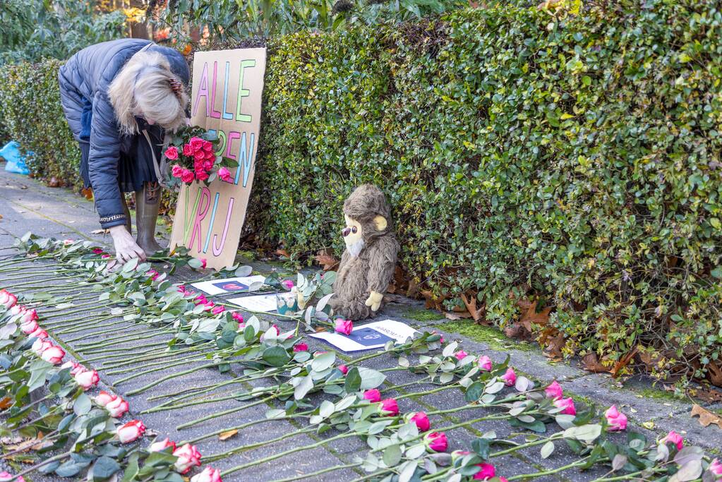 Protestactie tegen doodgeschoten chimpansees DierenPark Amersfoort