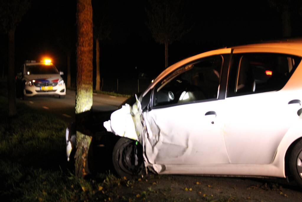 Auto rijdt tegen lantaarnpaal en komt tot stilstand tegen boom
