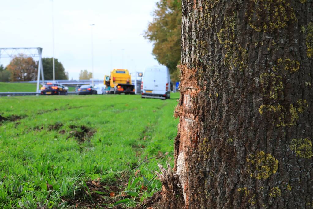Bestuurder van bestelbus valt in slaap en schampt boom