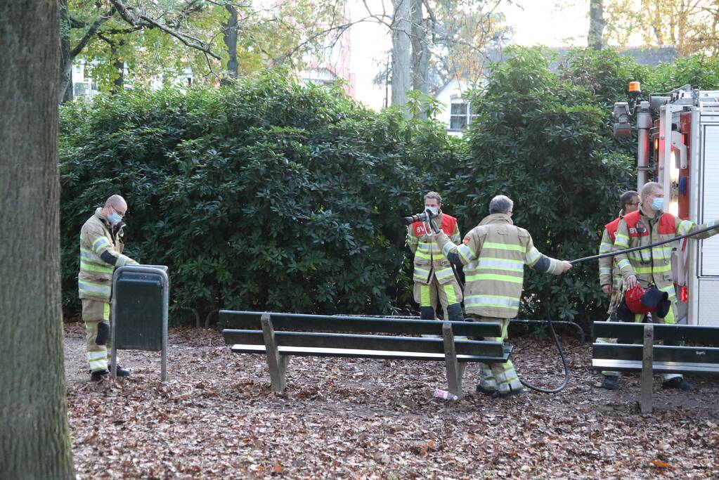 Brand in vuilnisbak snel geblust