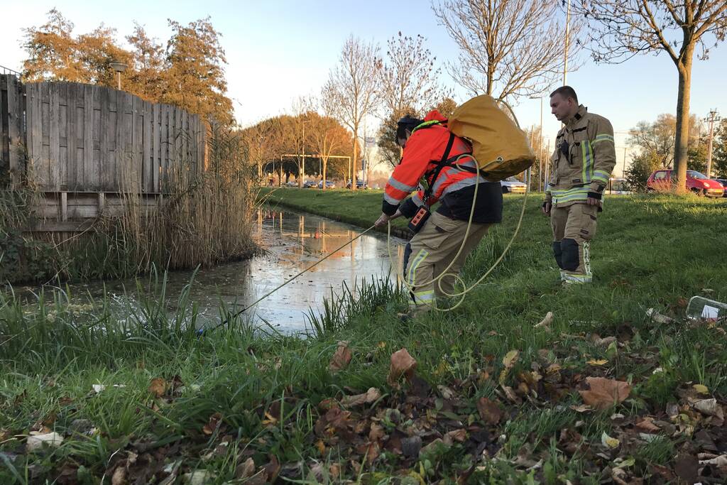 Grote zoekactie na vermissing van jongentje
