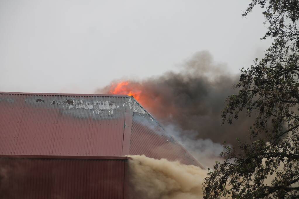 Sporthal Optisport De Schelft verwoest door brand