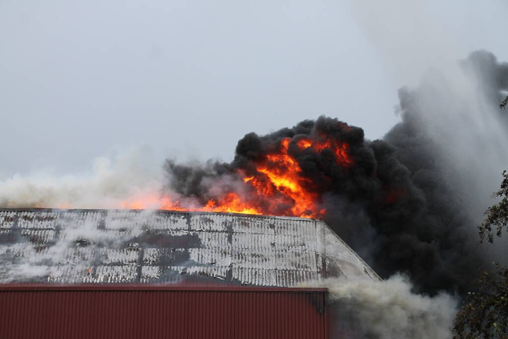 Sporthal Optisport De Schelft verwoest door brand