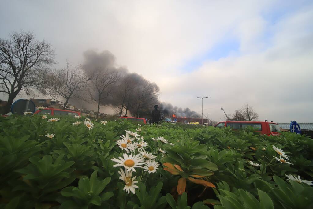 Sporthal Optisport De Schelft verwoest door brand