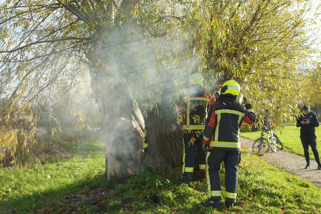 Boom mogelijk in brand door vuurwerk