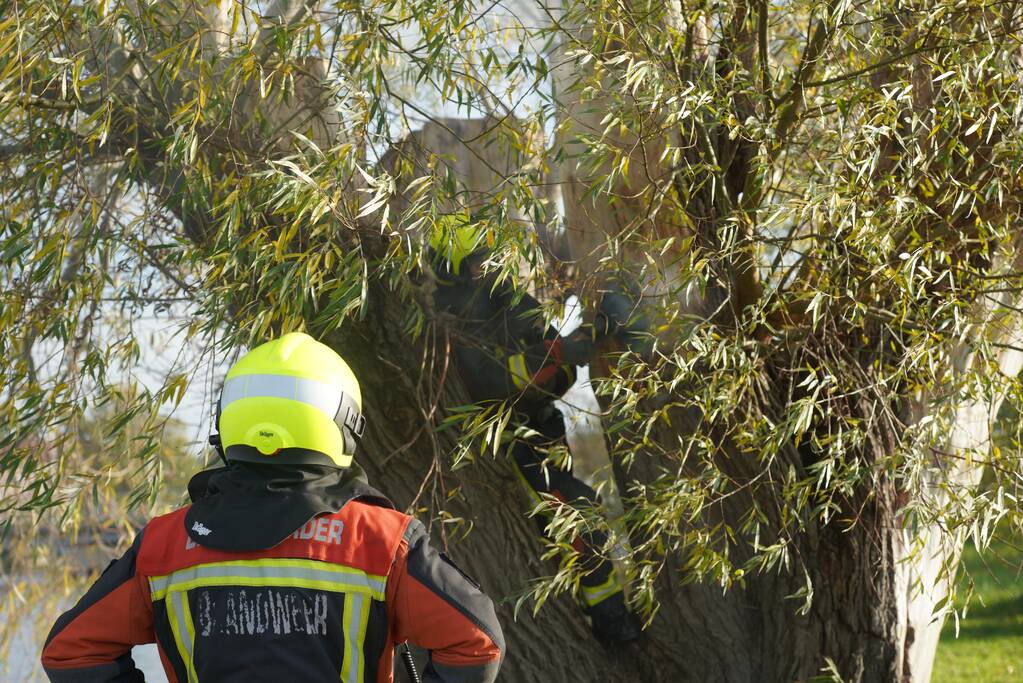 Boom mogelijk in brand door vuurwerk