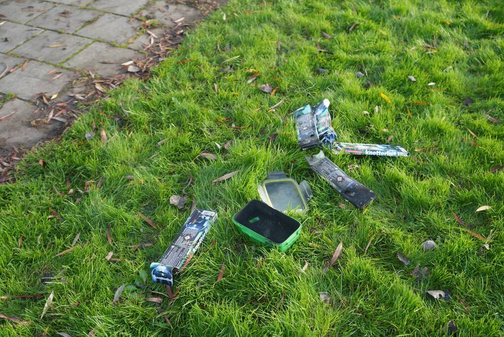 Boom mogelijk in brand door vuurwerk