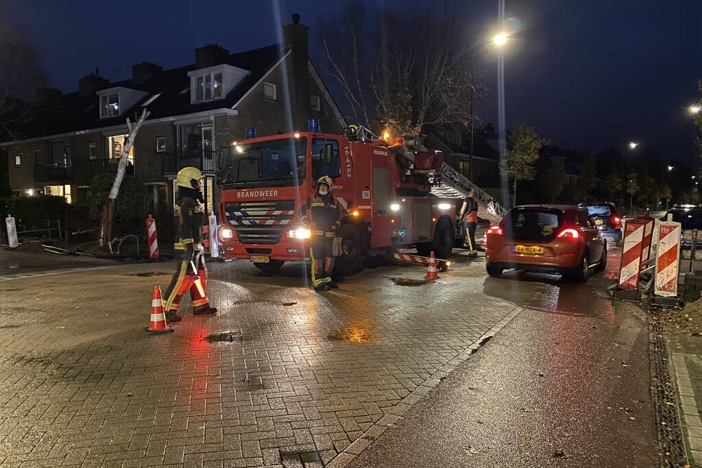 Bomen dreigen tegen woningen te vallen