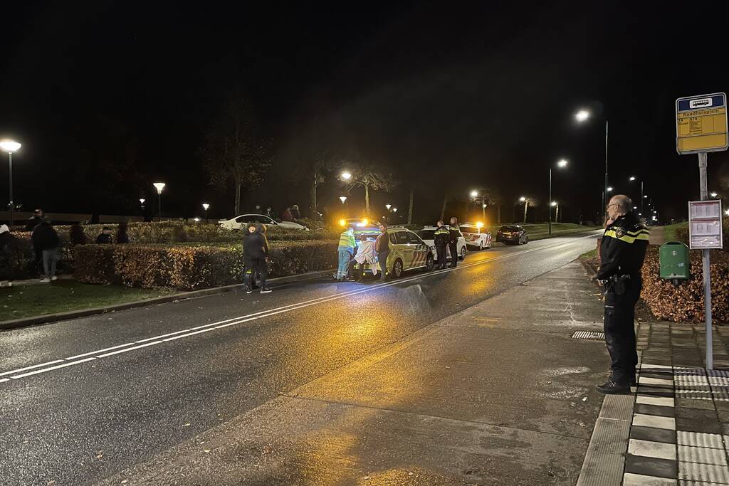 Automobilist verliest macht over het stuur en belandt in struiken