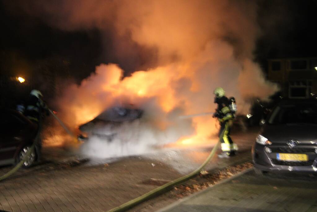 Geparkeerde auto brandt volledig uit