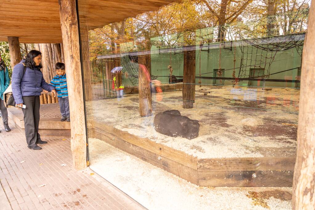 Dierenpark Amersfoort heeft haar deuren weer geopend