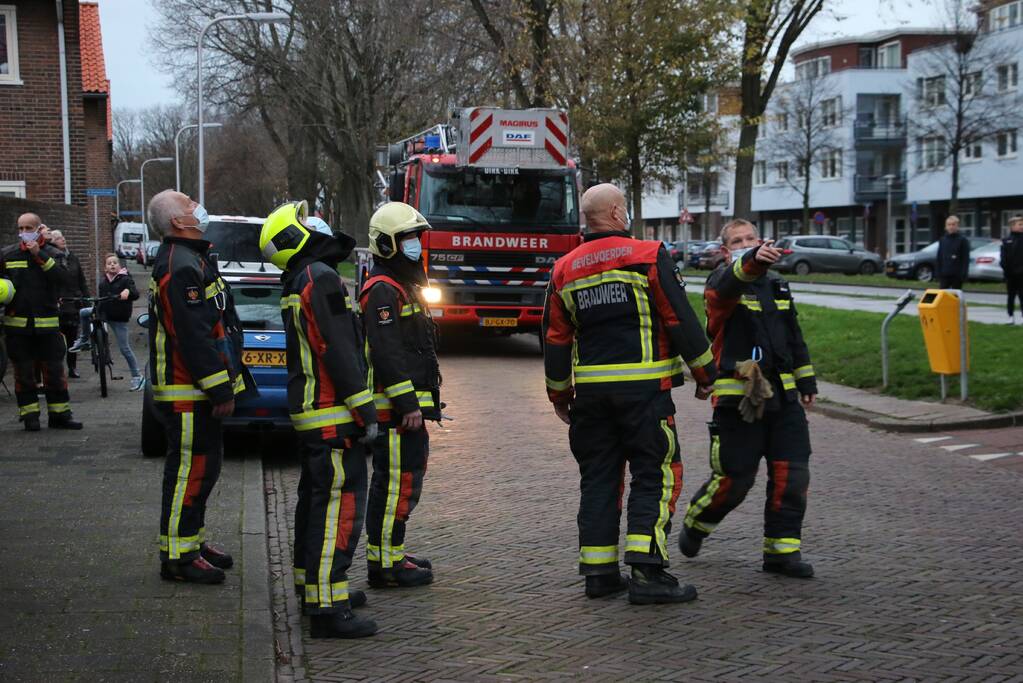 Brandweer red kat uit boom