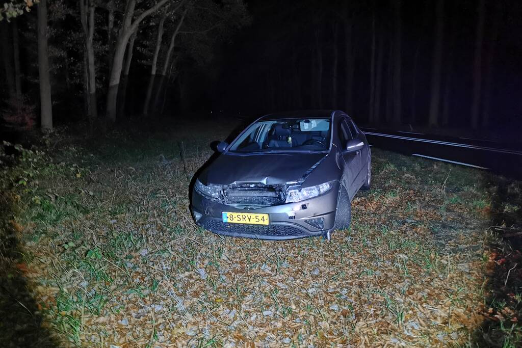 Wild zwijn overleden na aanrijding met auto