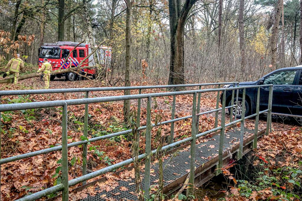 Paard glijdt uit op gladde loopbrug