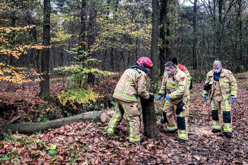 Paard glijdt uit op gladde loopbrug