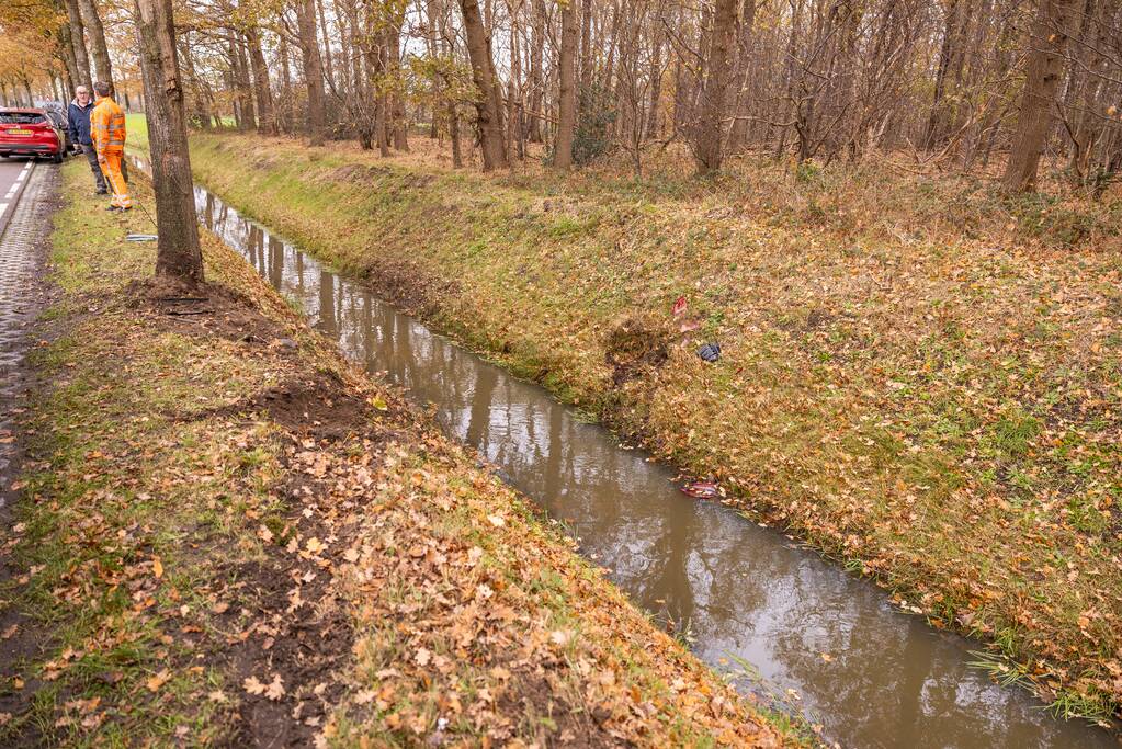 Auto vliegt uit de bocht en knalt tegen boom