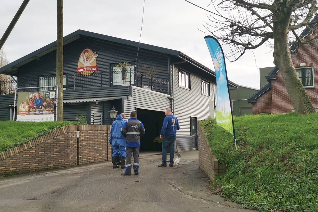 Wederom vogelgriep bij pluimveebedrijf