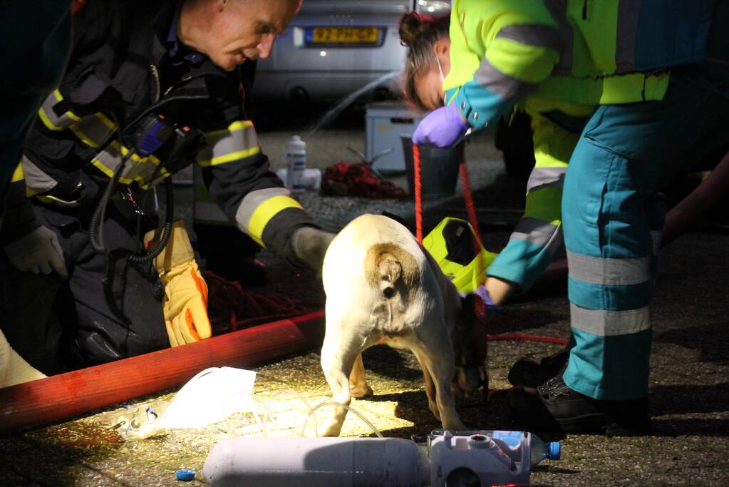 Gewonde bij uitslaande brand in flat
