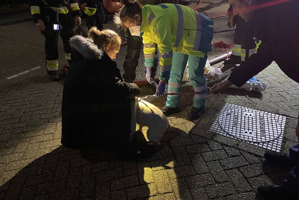 Gewonde bij uitslaande brand in flat