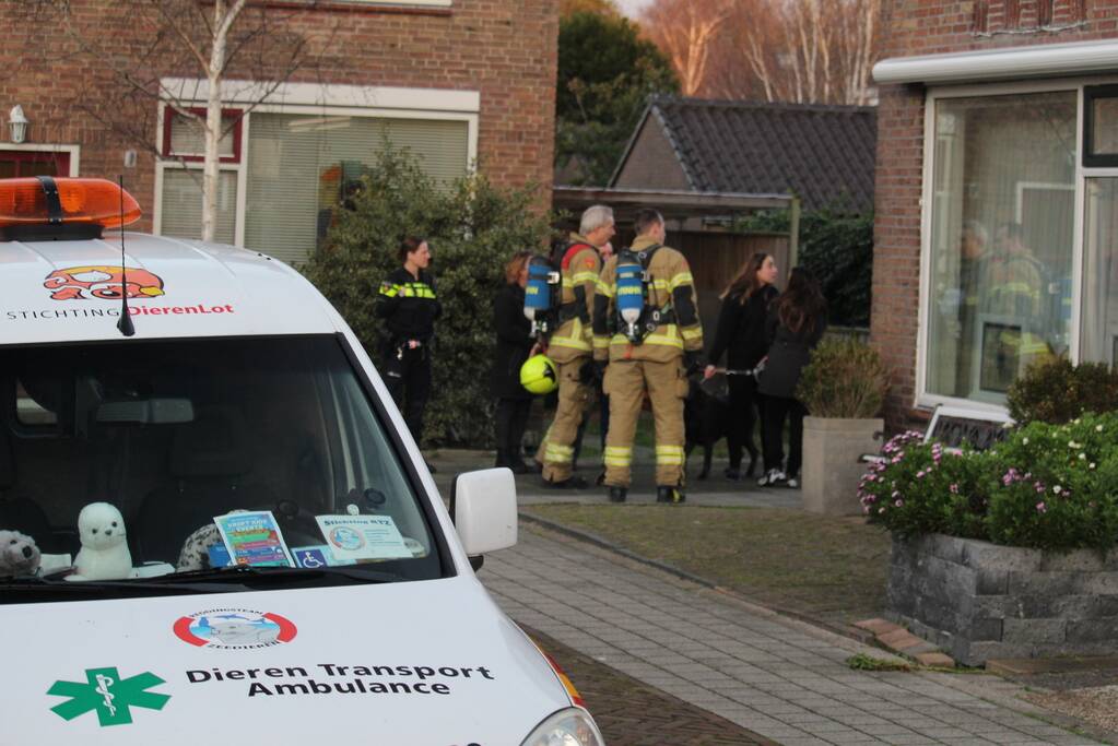 Schoorsteenbrand snel onder controle