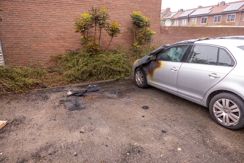 Liendert opgeschrikt door nachtelijke autobranden