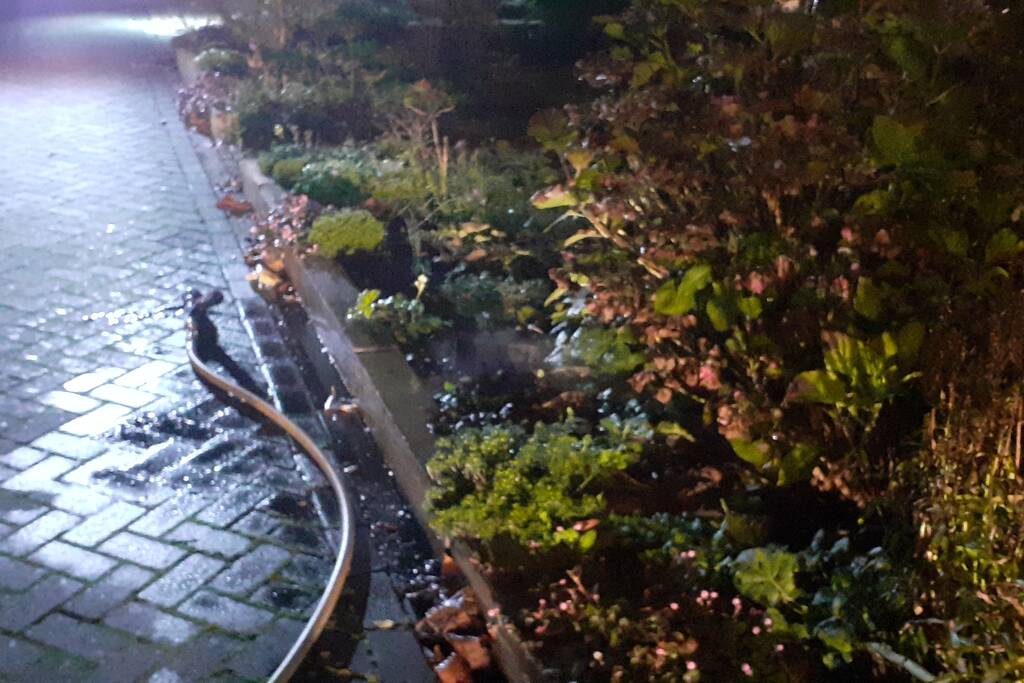 Brand in schoorsteen van woning