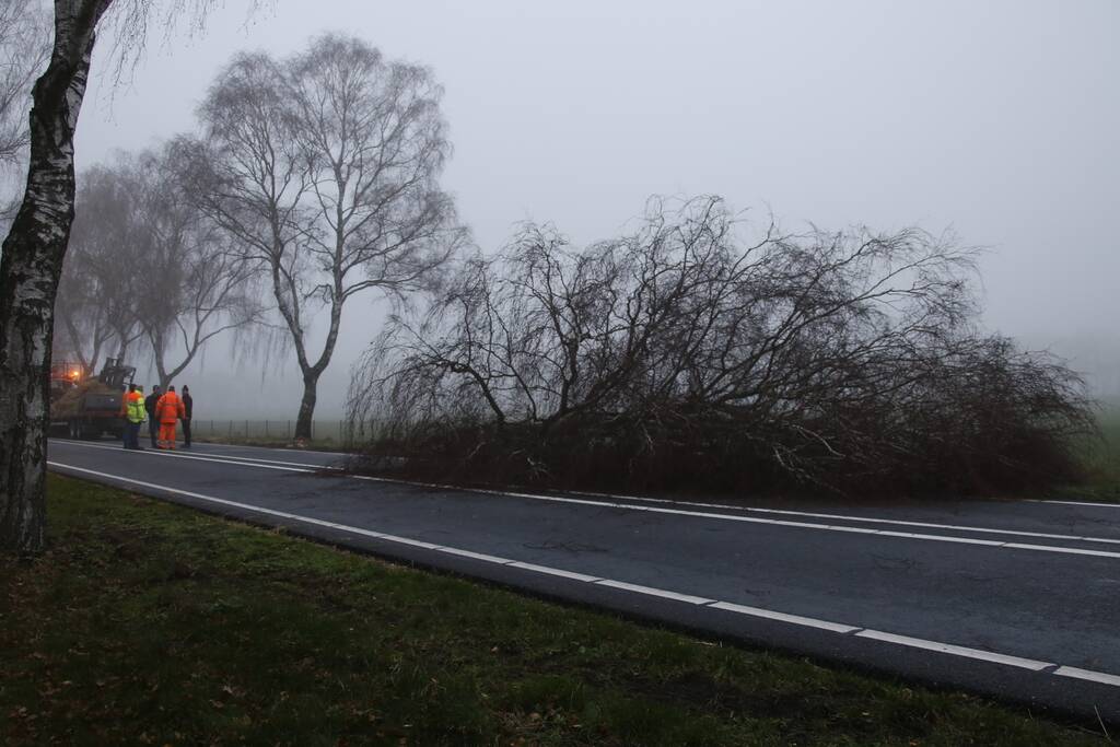 Vrachtwagen met aanhanger met hooi ramt boom