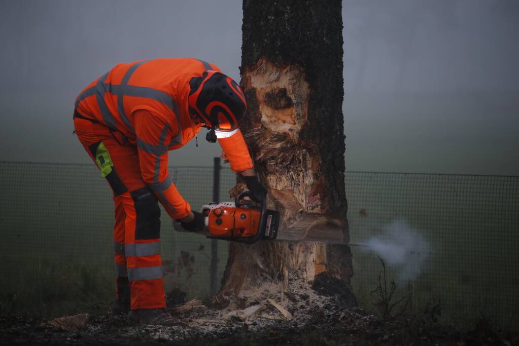 Vrachtwagen met aanhanger met hooi ramt boom