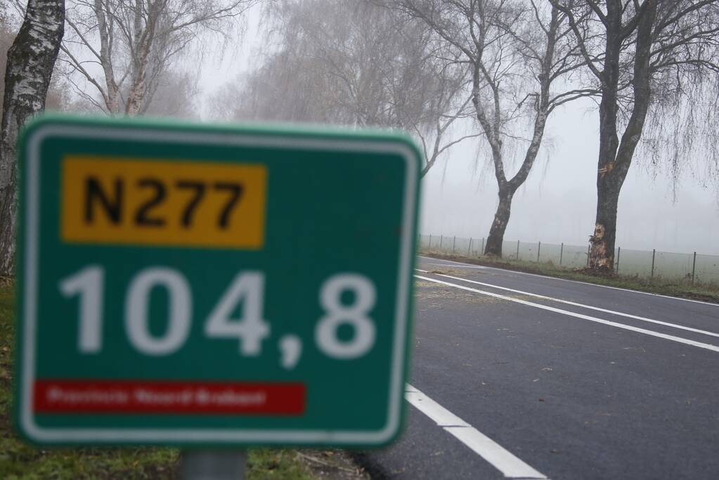 Vrachtwagen met aanhanger met hooi ramt boom